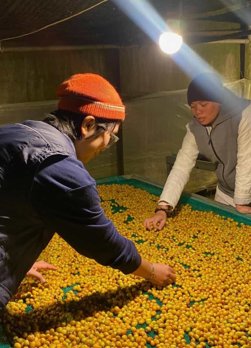 Vietnam Tram Hành ThyThy - Yeast Anaerobic